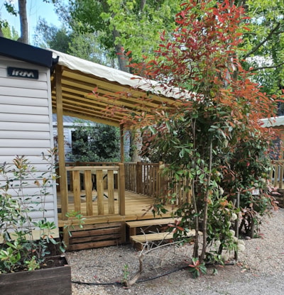 Plein Sud 22 m² 2 rooms (4 pers. 2 adults max) — 1