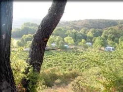 Pitch - Pitch Confort Tent - Caravan - Camping du Domaine D'Anglas