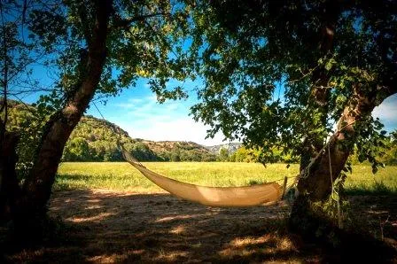 Emplacement Prestige