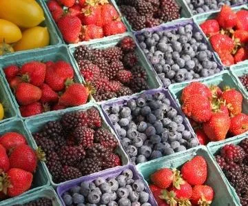 Camping du Domaine D'Anglas - image n°52 - UniversalBooking