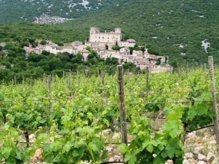 Camping du Domaine D'Anglas - image n°59 - UniversalBooking