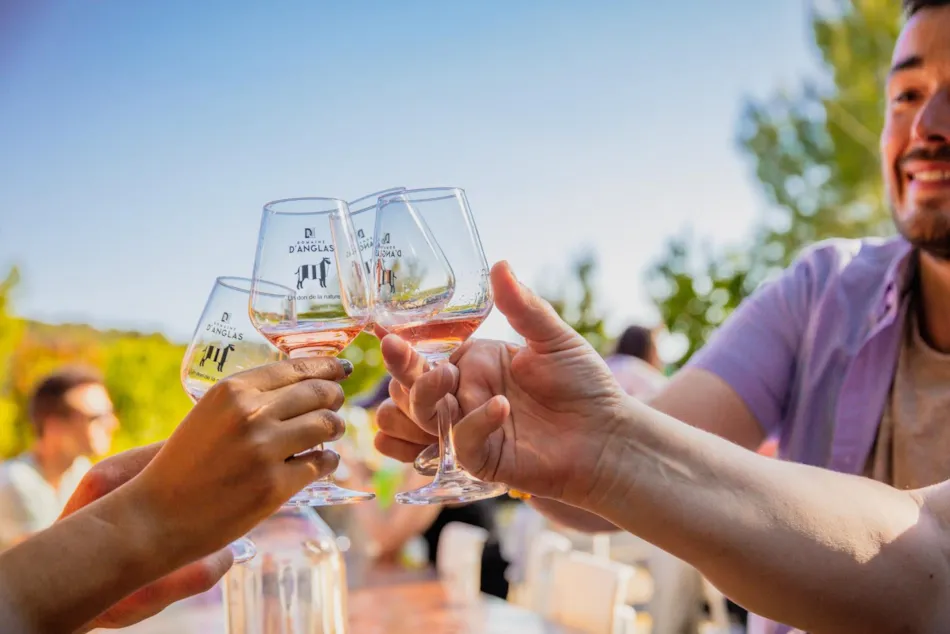 Camping du Domaine D'Anglas