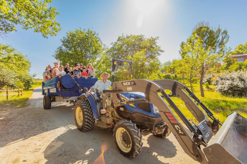 Camping du Domaine D'Anglas - image n°28 - UniversalBooking