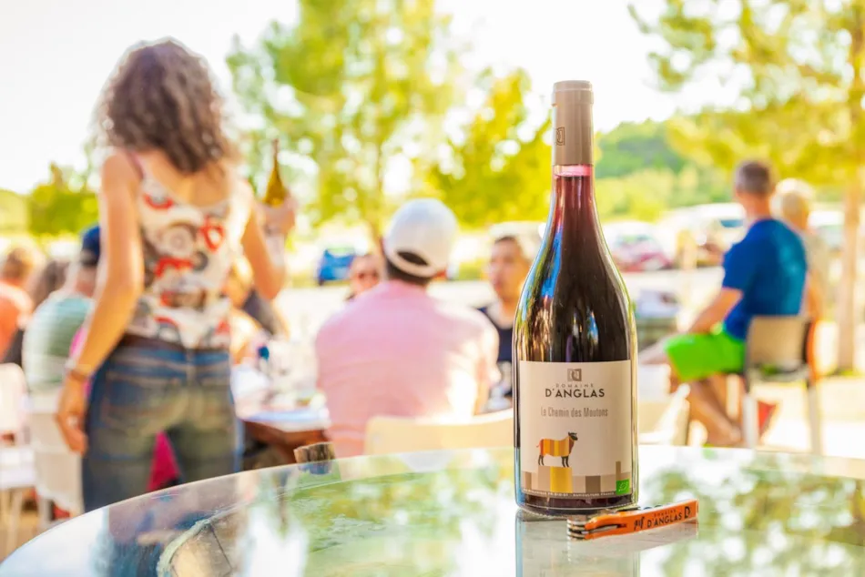 Camping du Domaine D'Anglas