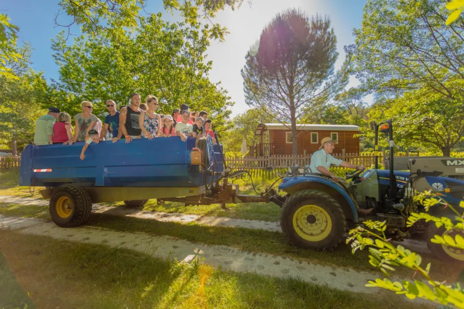 Camping du Domaine D'Anglas