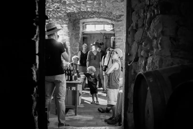 Camping du Domaine D'Anglas