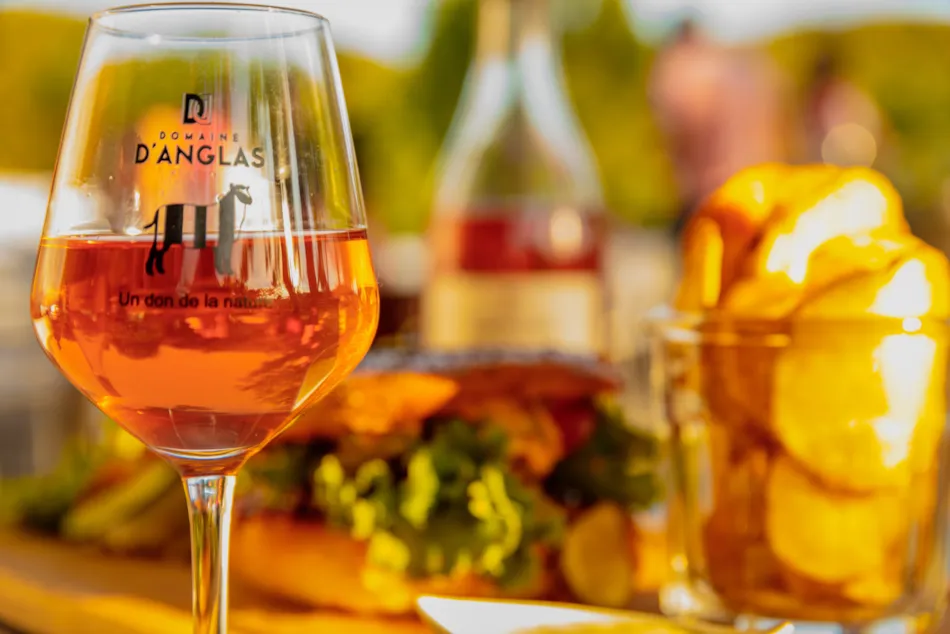 Camping du Domaine D'Anglas