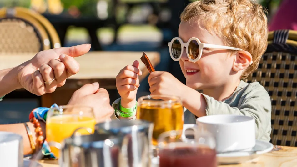 Camping du Domaine D'Anglas