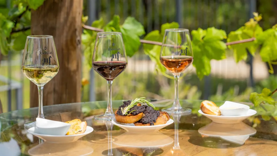 Camping du Domaine D'Anglas