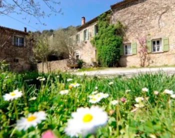 Location - Gîte - Camping du Domaine D'Anglas