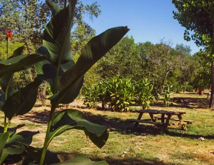 Emplacement - Emplacement Premium - Camping du Domaine D'Anglas