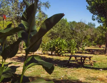 Emplacement - Emplacement Premium - Camping du Domaine D'Anglas