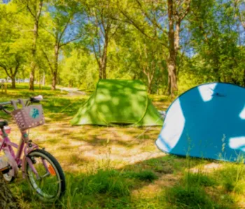 Emplacement - Emplacement Privilege - Camping du Domaine D'Anglas