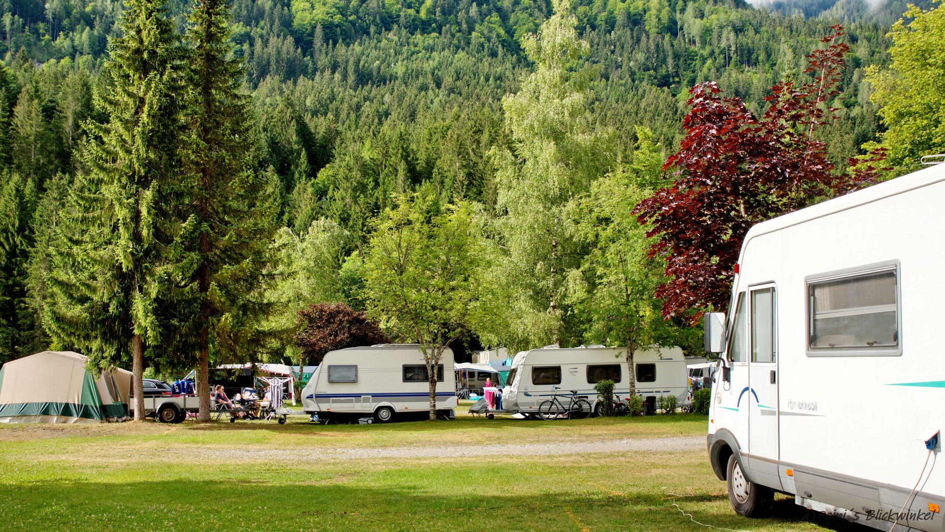 Emplacement - Emplacement Standard "M" - Camping Waldbad, Dellach im Drautal