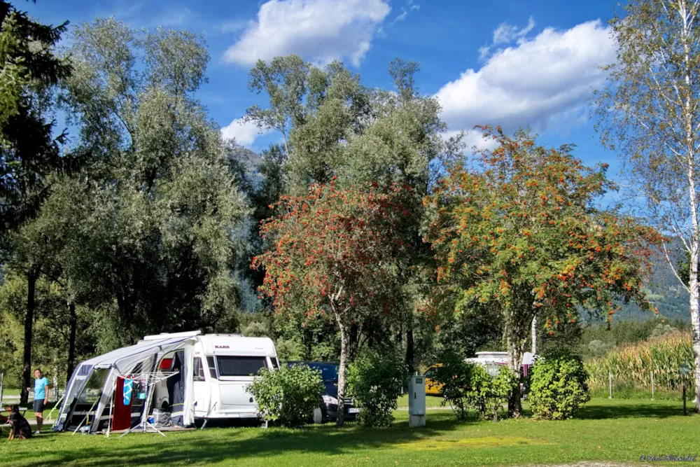 Stellplatz - Adac Campingcard Standardplatz "M" - Camping am Waldbad