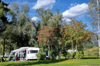 Emplacement - Adac Campcard Emplacement Standard "M" - Camping am Waldbad