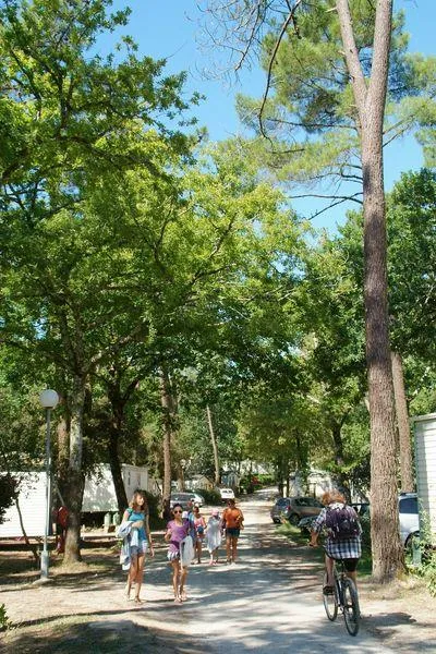 Camping Les Pins de la Coubre