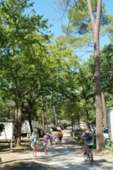 Foto #7 van Camping Les Pins de la Coubre