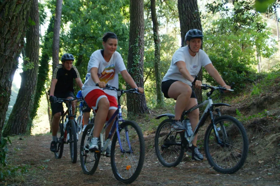 Camping Les Pins de la Coubre