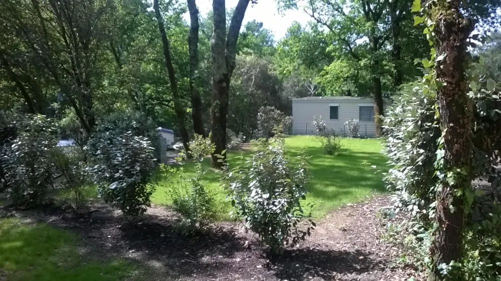 Emplacement - Forfait Emplacement De Camping - Camping Les Pins de la Coubre