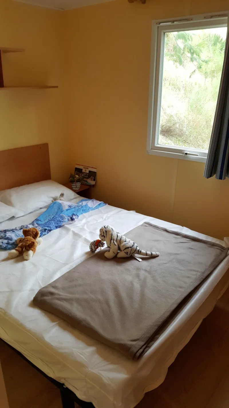 Océanic À La Nuitée