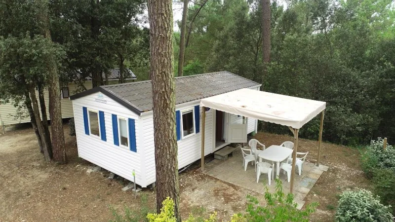 Océanic À La Nuitée