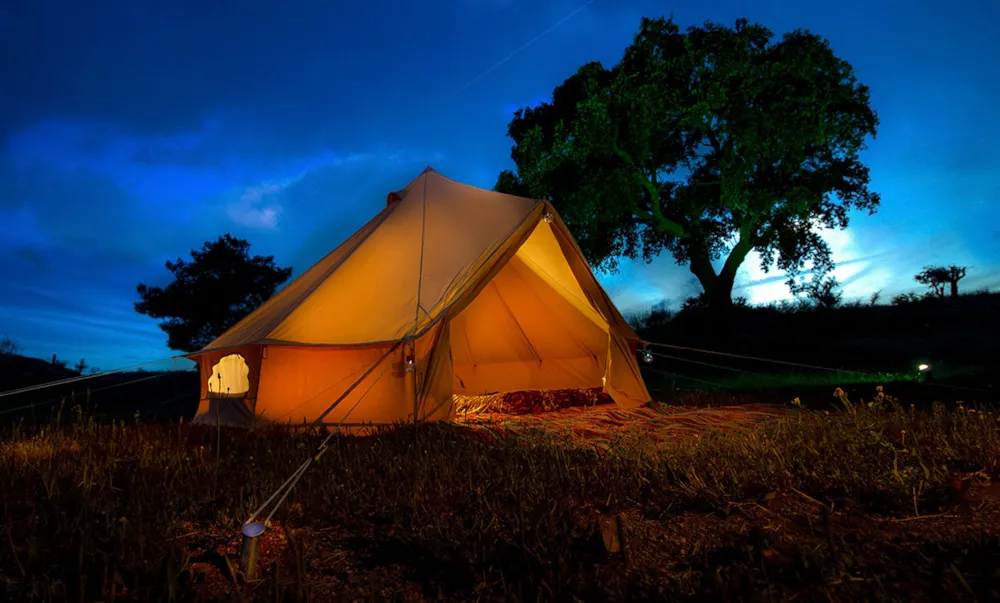 Camping Les Pins de la Coubre