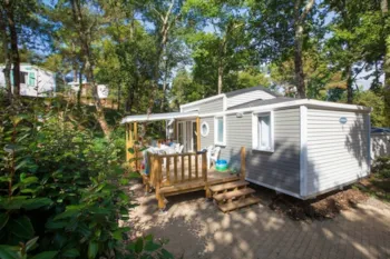 Mietunterkunft - Suite Étoilée - Camping Les Pins de la Coubre
