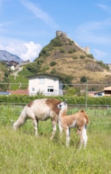 Foto #25 van Relais de la Sarvaz