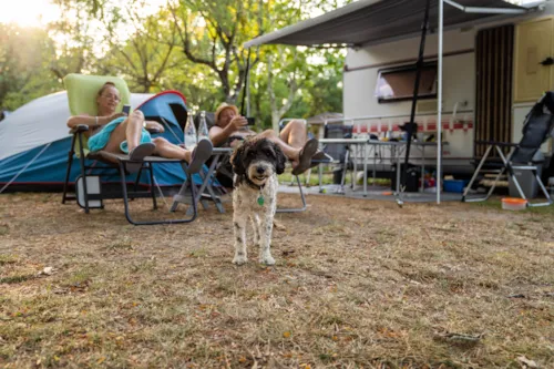 Pitch - Campingpitch Including 2 People, Electricity And Car - image n°4 - RCN la Bastide en Ardèche