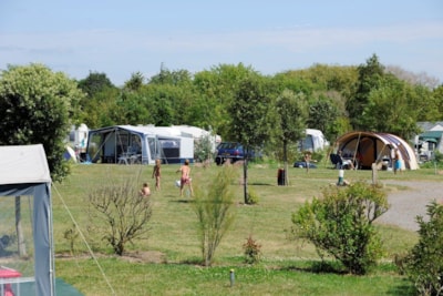 Campingpitch including 2 people, electricity and car