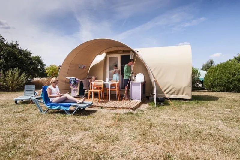 Cocoon Sweet Crevette