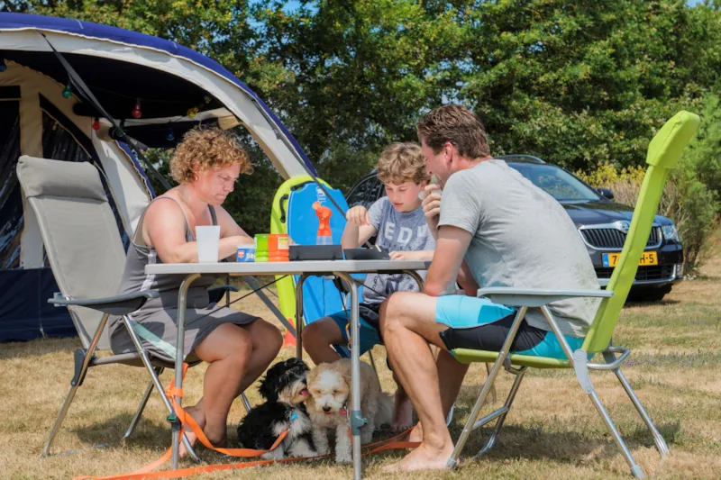 Emplacement Camping Avec 2 Pers, Electricité Et Voiture Compris
