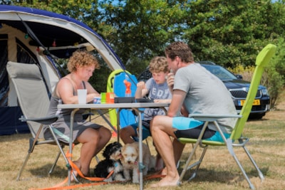 Campingpitch including 2 people, electricity and car