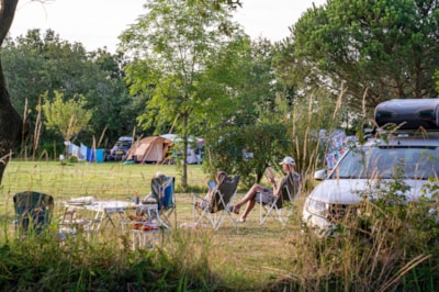 Campingpitch including 2 people, electricity and car