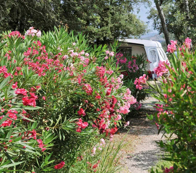 Emplacement (Électricité+ Eau+ Voiture)