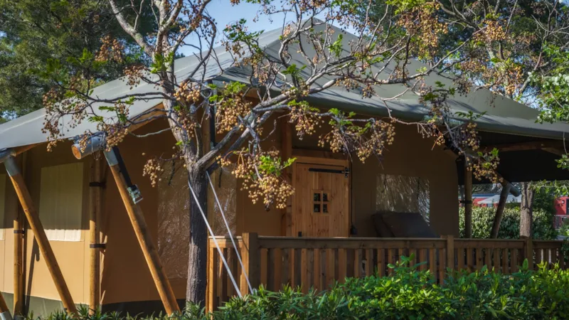 Tente Safari Fréjus