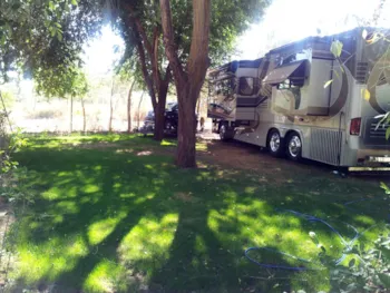 Stellplatz - Vino Platz (2 Pers+Auto+Caravan/Wohnmobile) - Campingred El Astral