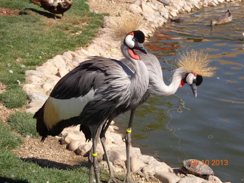 Campingred El Astral