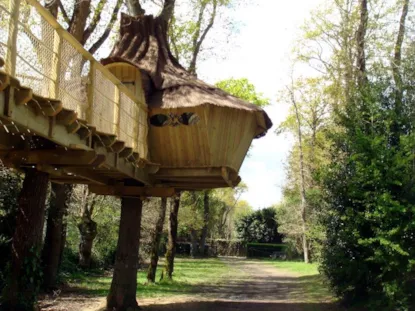 Cabane Dans Les Arbres - 2 Chambres - Sans Salle De Bain - Insolite (Ic2y)