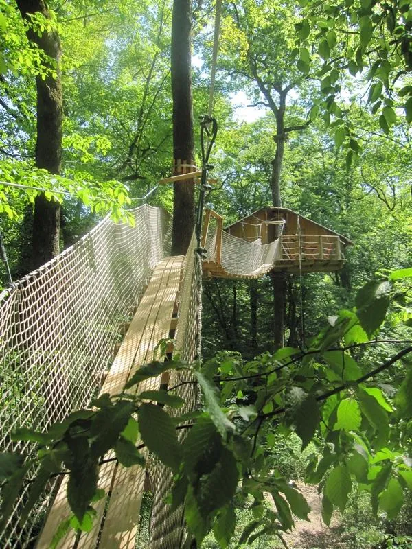 Chambre - Cabane À Pont De Singe Des Gibbons (À Partir De 12 Ans) - Le Parc de la Belle