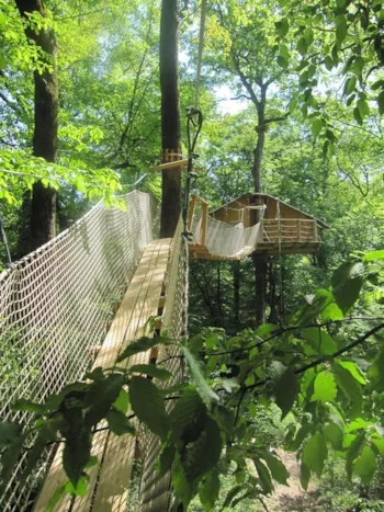 Kamer - Trekkershut Gibbons - Le Parc de la Belle