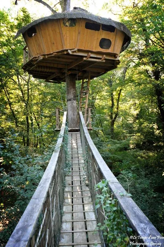 Cabane Amazonie (À Partir De 12 Ans)