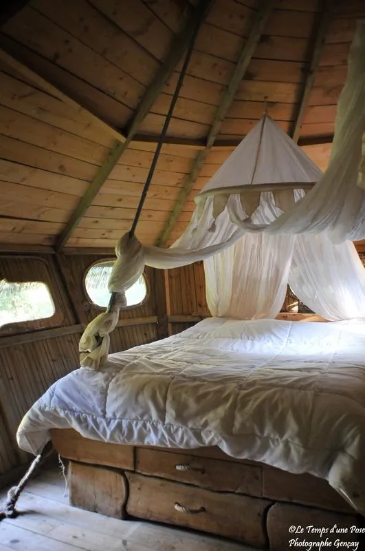 Cabane Amazonie (À Partir De 12 Ans)