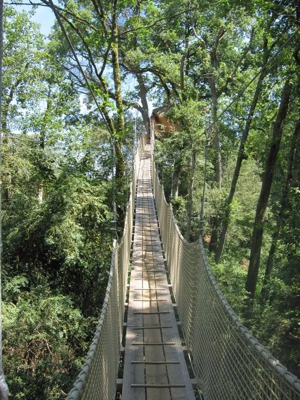 Cabane Des Buis (À Partir De 12 Ans)