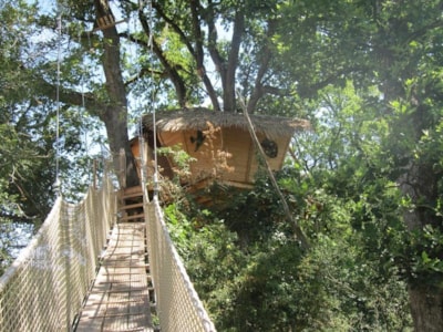 Wooden hut BUIS — 1