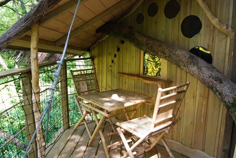 Cabane Des Robinsons (À Partir De 12 Ans)