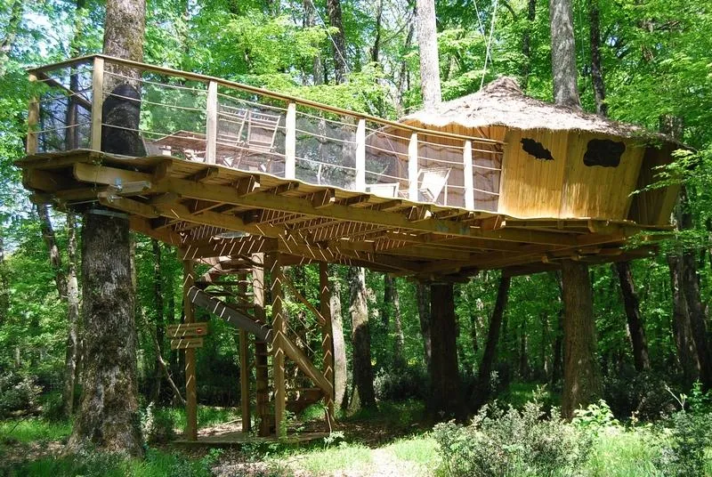 Cabane Familiale Des Chimpanzés (À Partir De 2 Ans)