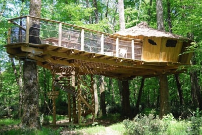 Wooden hut CHIMPANZES (+ 2 years old) — 2