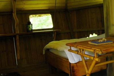 Wooden hut CHIMPANZES (+ 2 years old) — 4